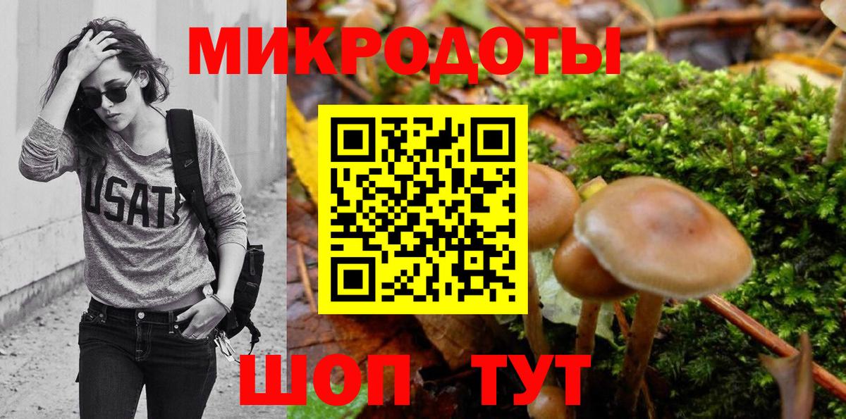 Городец  Галлюциногенные грибы GOLDEN TEACHER  где купить наркотик  Вход с VPN 